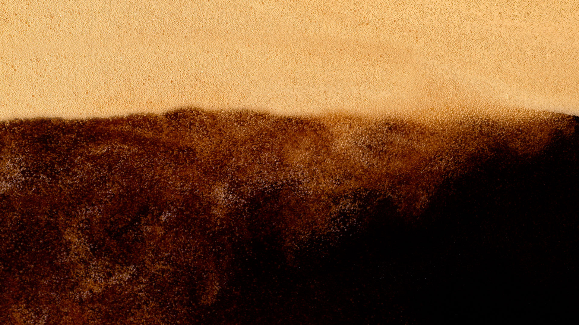 Dallmayr banner