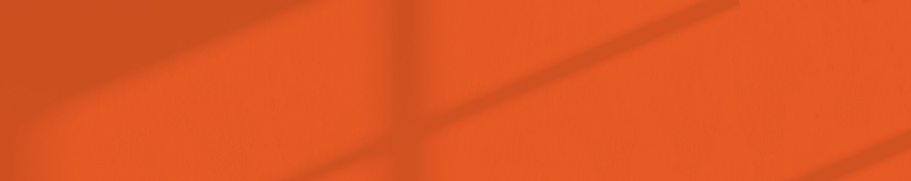 SEGMENT 10 PER 49 EUR  banner