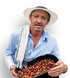 Kaffeebauer