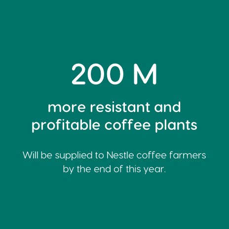 Nachhaltigkeit 200 Millionen Kaffeepflanzen