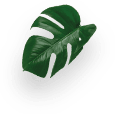 Schwarzer Kaffee Vorteilspack decoration Image